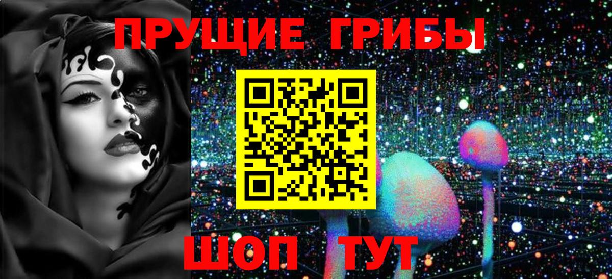 Галлюциногенные грибы GOLDEN TEACHER  Вход с VPN  Галлюциногенные грибы мухоморы  Шадринск 