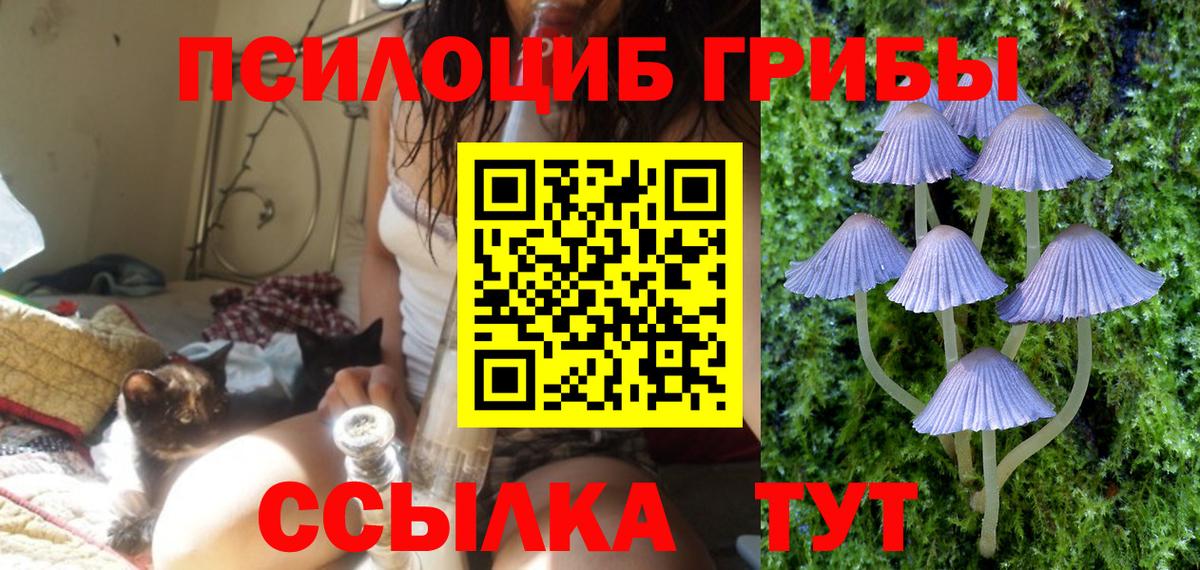 Галлюциногенные грибы MAGIC MUSHROOMS Шадринск
